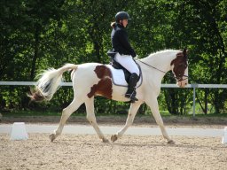 IMG_0846_web